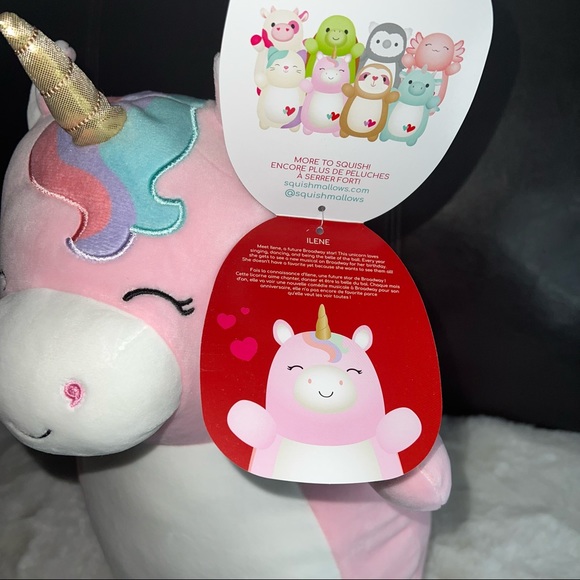 NEW Squishmallows Ilene the Unicorn Hug Mees Valentines Special Edition 2022 - Picture 2 of 12